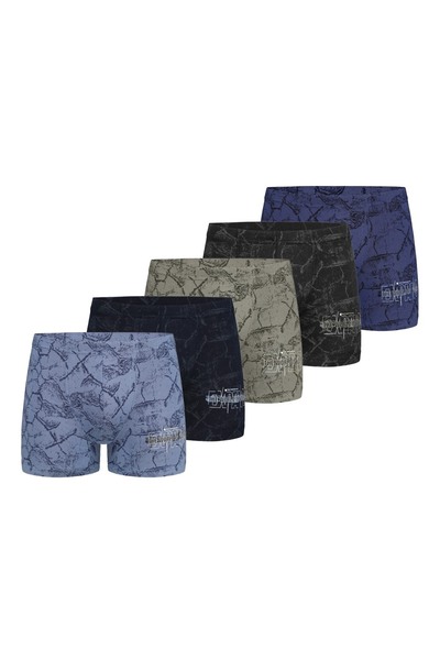 Donella 5-пакет боксерів для хлопчиків 8581B14