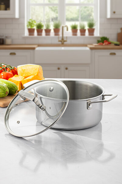 Emsan Pro Tri Ply Deep Pot Steel 24 cm