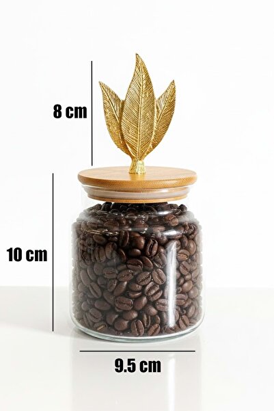 Jenisa Set of 3 Glass Jars with Bamboo Lids and Metal Leaf Figures - Storage Container 635Cc