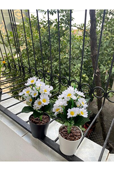 ORDAN ALDIM Saksıda Yapay Papatya Bitkisi