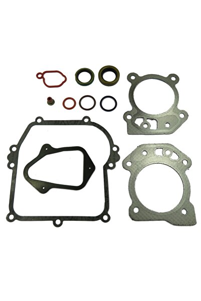 Garden Parts Set garnituri Briggs & Stratton 450, 500, 550, OHV