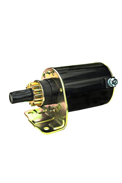 Garden Parts Motor electric Briggs & Stratton 691564