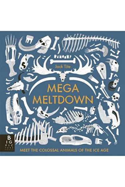 Big Picture Press Mega Meltdown