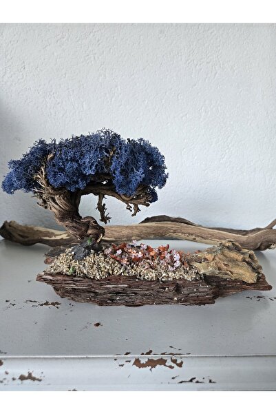 Decoroon El Yapımı Bonsai Dekor | Gerçek Ağaç Gövdesi & Mavi Şoklanmış Yosunl...