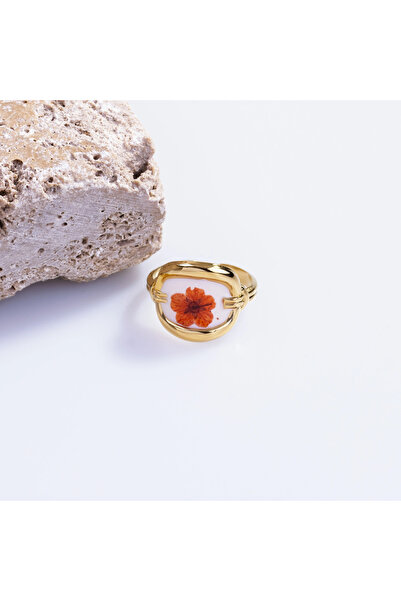 Shine of Magic Jewelry خاتم بيراغو |   خاتم فولاذي