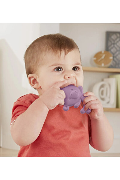 FISHER PRICE Baby Teething Toy Purple Monkey