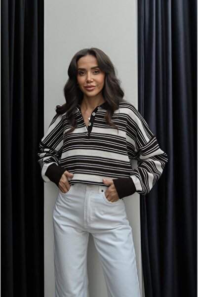 Havoş Καφέ πουλόβερ με ριγέ γιακά πόλο Greg