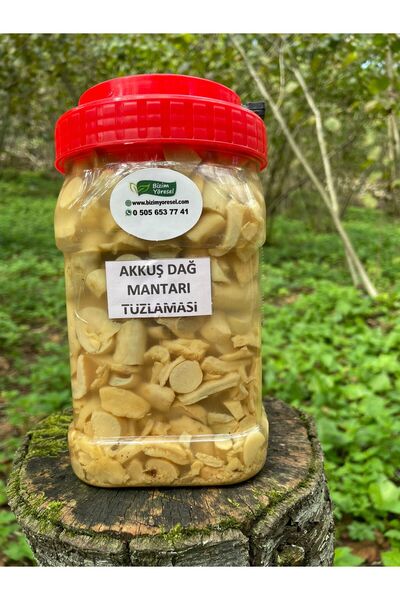 Bizim Yöresel Akkuş Dağ Mantarı Tuzlaması (1 Kg)