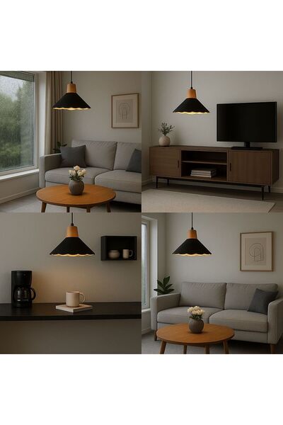 Home lighting company Single pendant light