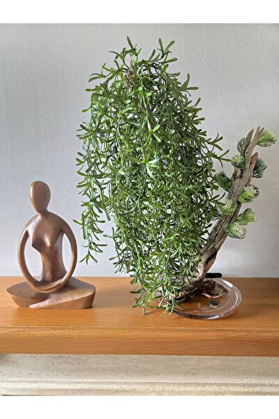 Decoroon El Yapımı Sarkık Yapraklı Bonsai – Doğal Ağaç | Epoksi Tabanlı Yapay Dekoratif Ağaç