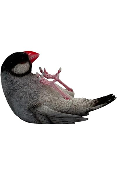 B&D PARROT Decorative Java Finch Bird Figurine, Gray and Black with Red Beak, Realistic Garden Ornam