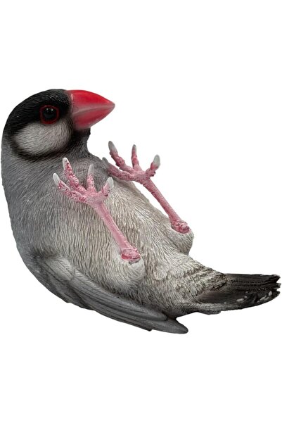 B&D PARROT Decorative Java Finch Bird Figurine, Gray and Black with Red Beak, Realistic Garden Ornam