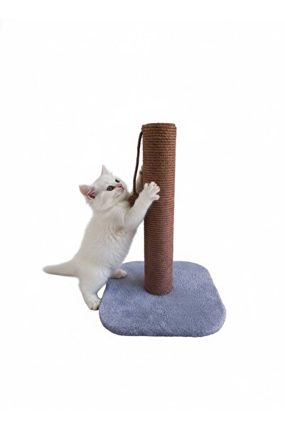 Shiny Desing Cat Scratching Board