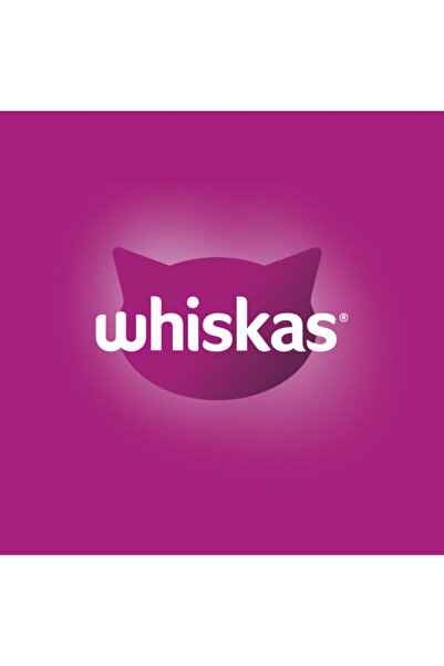 Whiskas Adult, Beef, dry cat food, 14kg