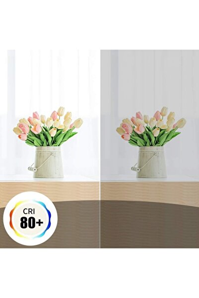 OEM Set 3 LED Bulbs E27 ST64 10W 6500K 1000lm Retro