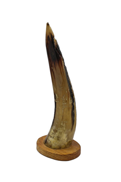 Generic Hand-Carved Natural Horn with Stand – Decorative Stone Sculpture