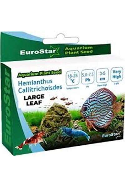 Genel Markalar EuroStar Bitki Tohum Medium Leaf Base Blant