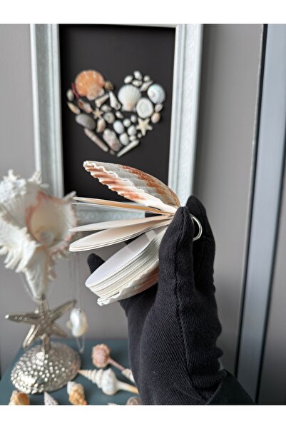 Seashell Rio Handmade Scallop Shell Book 9-11 cm – Mini Notepad with Natural ...