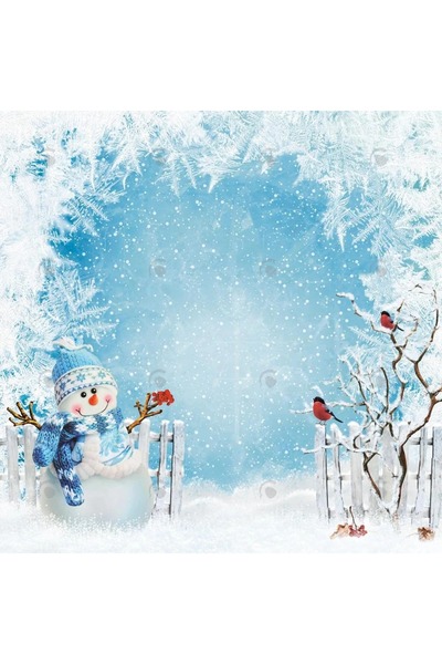 PROMISEBACKDROP2 خلفية قماشية مقاس 250x200 سم بتصميمات مخيطة إضافية، مفهوم ال...