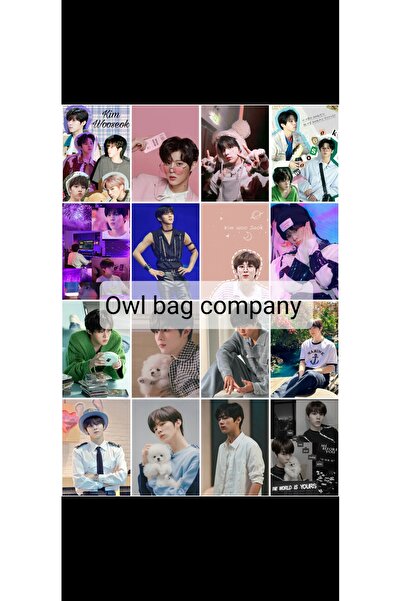 OWLBAG COMPANY مجموعة فوتوكارت مكونة من 16 قطعة بتصميم منقوش من OWL BAG Kim w...