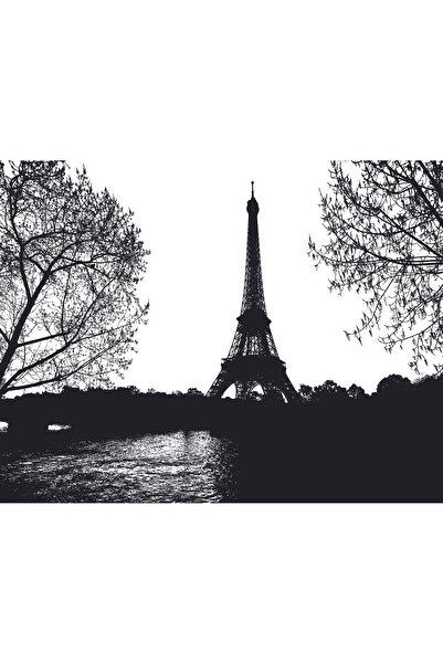 Yznhome Eyfel Kulesi Siyah Beyaz Manzara Zebra Perde – eyfel