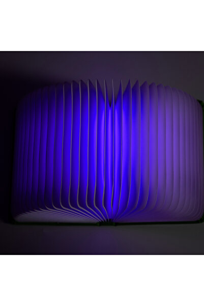 OEM BLUE OPEN BOOK WALL LAMP