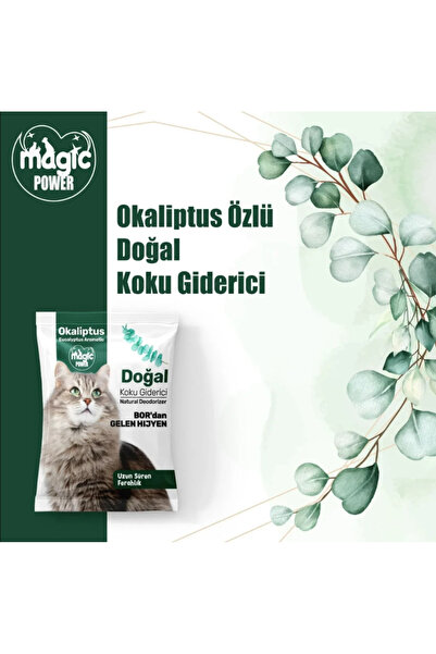 AquaHome Magic Power Doğal Koku Giderici -Okaliptus Aromalı 25gr