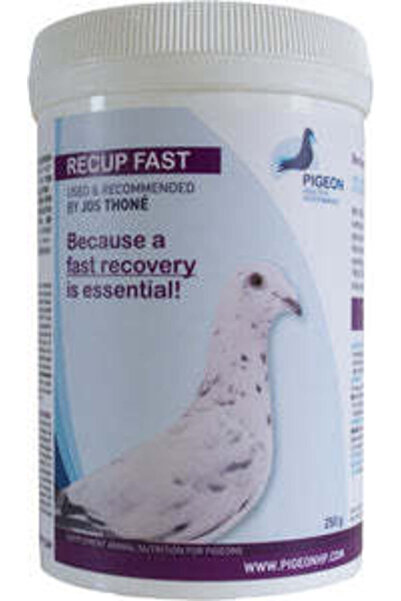 Pigeon RECUP FAST