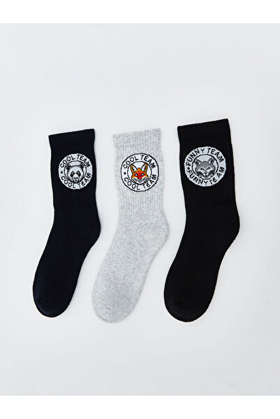 LC Waikiki Rmz Gi̇yi̇m Farkiyla Embroidered Boys' Socks 3-Piece Set