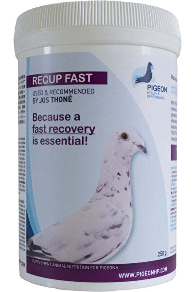 Pigeon RECUP FAST
