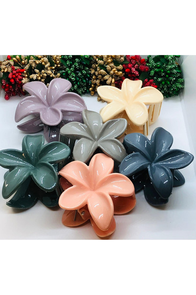 İnDerin Fall Series Women's Lotus Model 6-Piece Hair Clip Set 8 cm