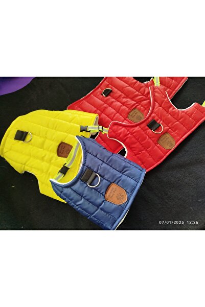 Winnie The Pet Kedi & Küçük Irk Köpek Kaçış önleyici Gezdirme Montu&Tasması