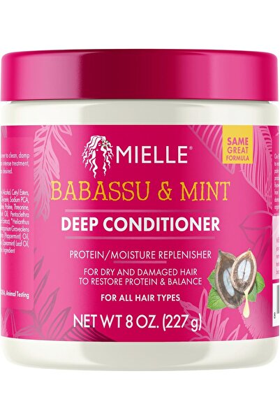 NONAMEE بلسم عميق للشعر بالباباسو والنعناع من مييل أورجانيكس، 8 أونصة (JP-64203)