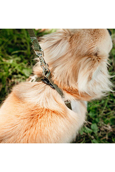 Ferplast حزام سهل الاستخدام، اللون: أحمر، الأبعاد: 35-53 سم × 10 مم