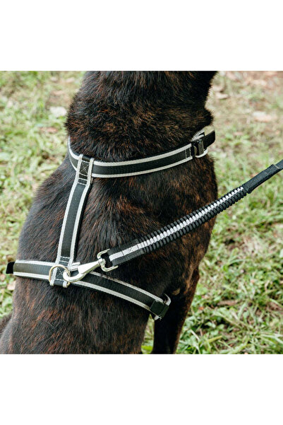 Ferplast Ergo Comfort Elastic G25/110 Le (75520917)