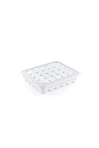 Go İthalat 30&amp;Egg Storage Container with apos;