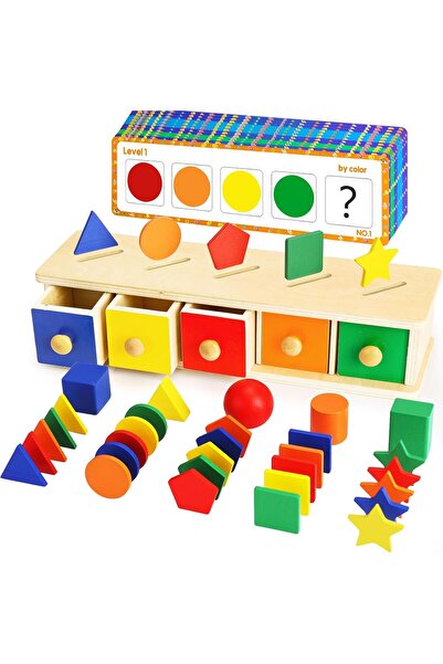 Generic Montessori Wooden Color & Shape Sorter Toy for Toddlers - Matching Bl...