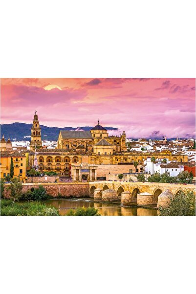 EDUCA - 1000 piece puzzle for adults | Cordoba, Spain