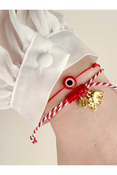 CHARMLUCKY Fi̇l Charm Marteni̇çka