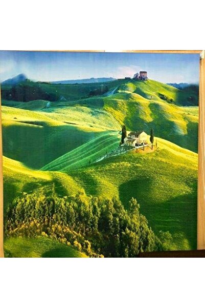 Generic Roller Blind - Sun & Heat Insulating