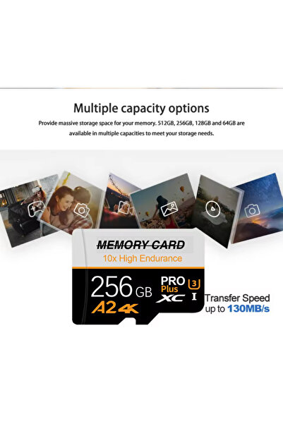Generic 256GB Micro SD Memory Card – High Endurance 10X Pro Plus | 4K Ultra HD, V30, U3, Class 10 |