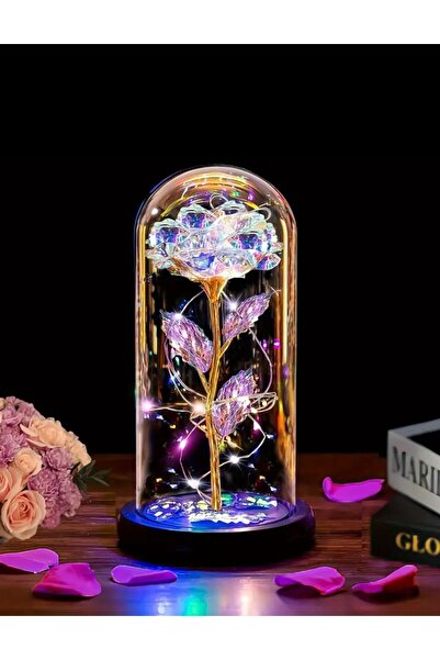 Sepetten Eve Fanus içerisinde Dekoratif RGB Peri Led Işıklı Solmayan Sonsuzlu...