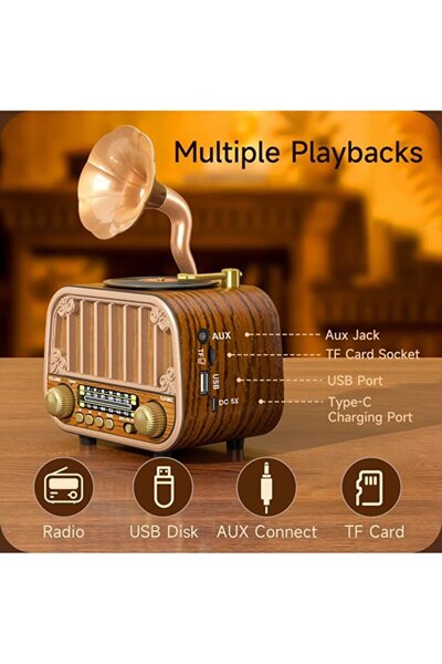 Everton RT-738 Gramafon Görünümlü Nostajık Radyo Bluetooth Müzik çalar