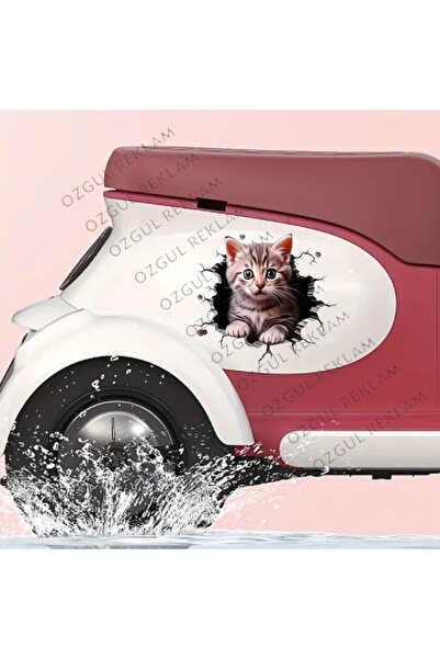 ÖZGÜL REKLAM 3D Kedi Sticker / Araç Sticker / Motor Sticker / Suya Dayanıklı