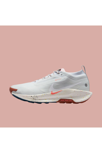 Nike Pegasus Trail 5 GORE-TEX Erkek Koşu Ayakkabısı-FQ0908-009 (Dar kalıp 1 numara büyük alnz) TanemSport
