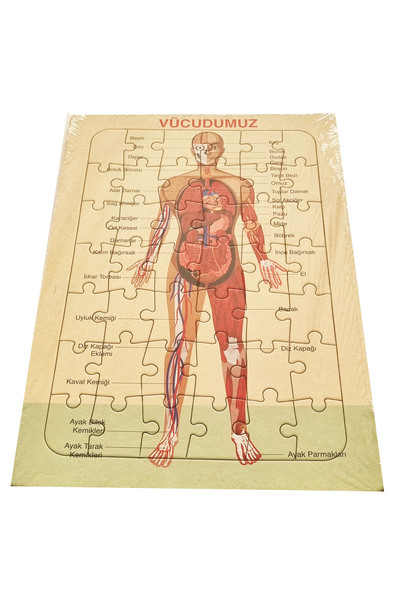 Mahi Max 42 Parça Büyük Boy Renkli Resim Karton Yapboz Puzzle 33x23cm - Vücud...