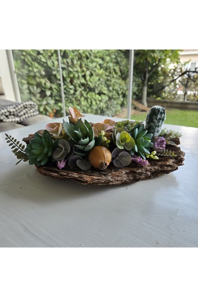 Decoroon El Yapımı Sukulent ve Kaktüs Dekoru – Ağaç Kabuğu Üzeri Doğal Masa Üstü Süs