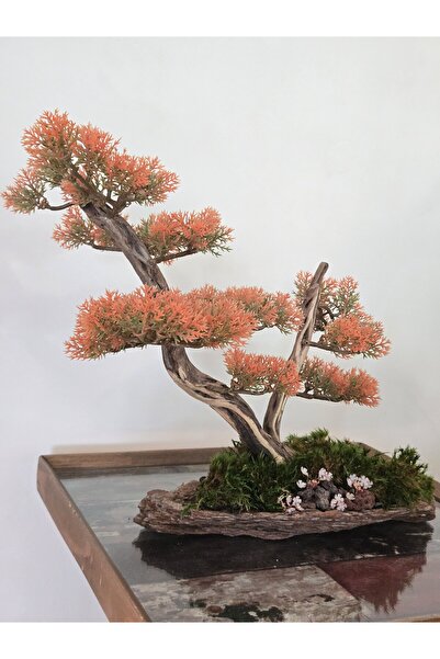 Decoroon El Yapımı Turuncu Bonsai Dekor – Doğal Ağaç Kabuğu Üzeri Ağaç Masa D...