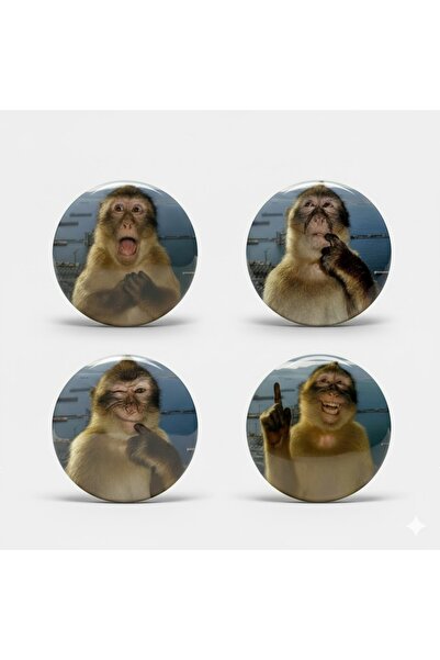Fivy 4’lü Şempanze Mood Komik Maymun Rozet Seti