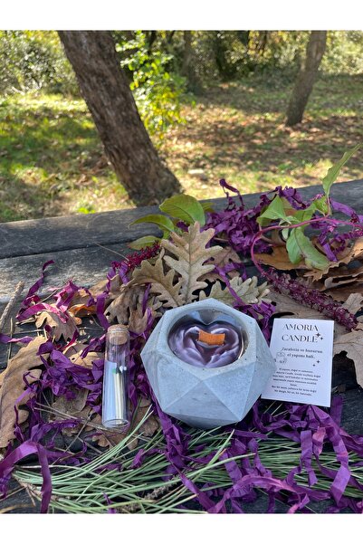 Amoria Handmade Candels Amoria Candle Geometrik Beton Mum | Ahşap Fitilli El ...